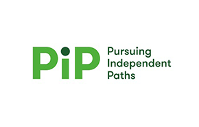 Pursuing Independent Paths